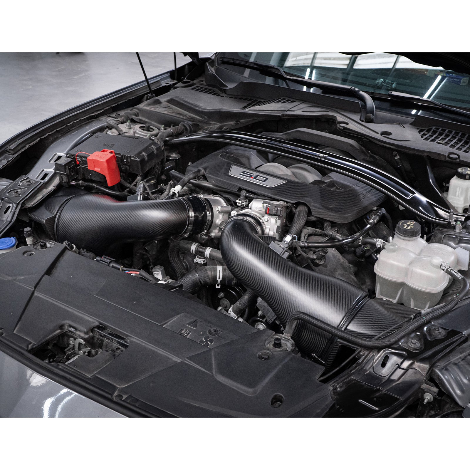 Theten S650 2024+ Mustang Dark Horse 5.0L High-Flow Carbon Fiber Dual Intake System · Image 03