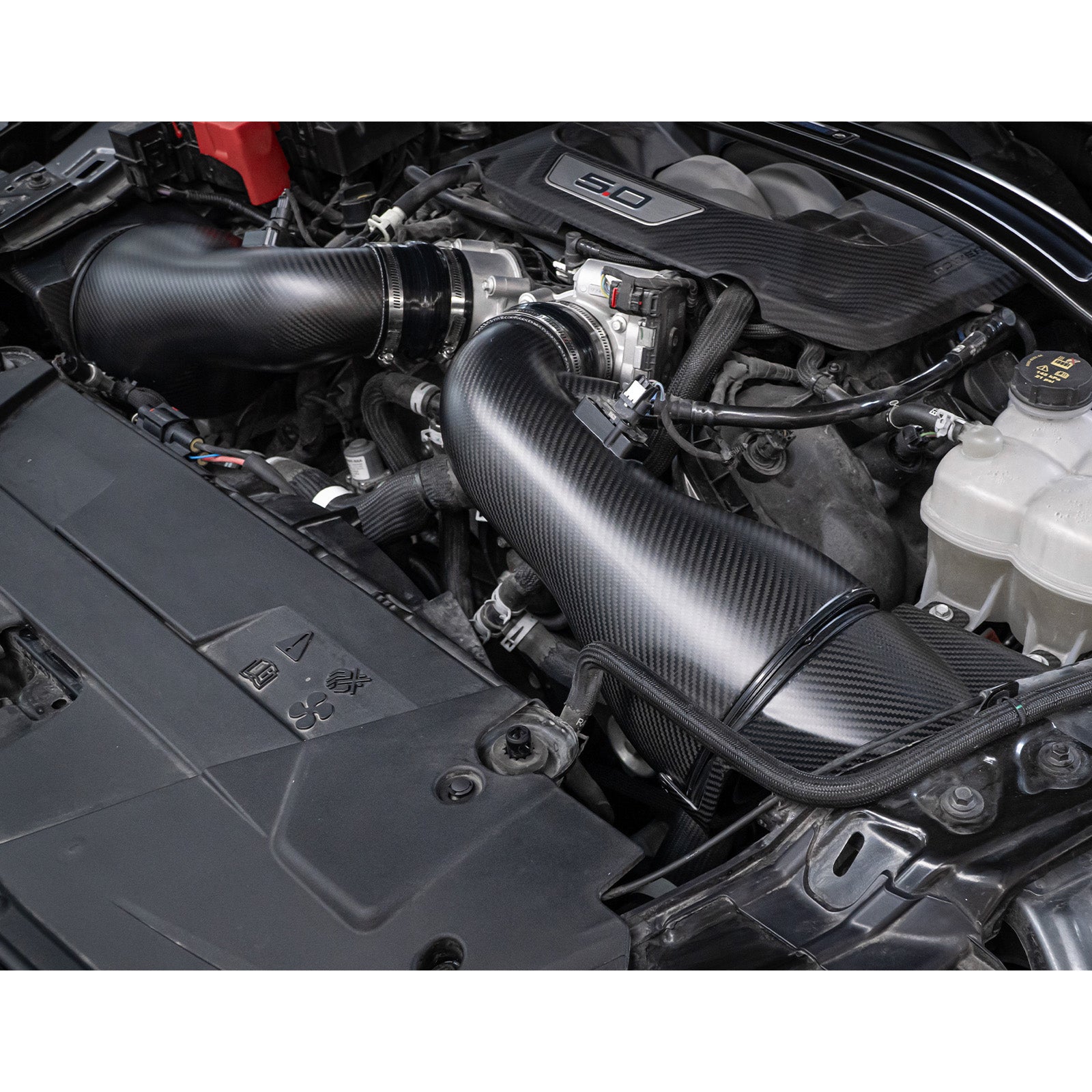 Theten S650 2024+ Mustang Dark Horse 5.0L High-Flow Carbon Fiber Dual Intake System · Image 04